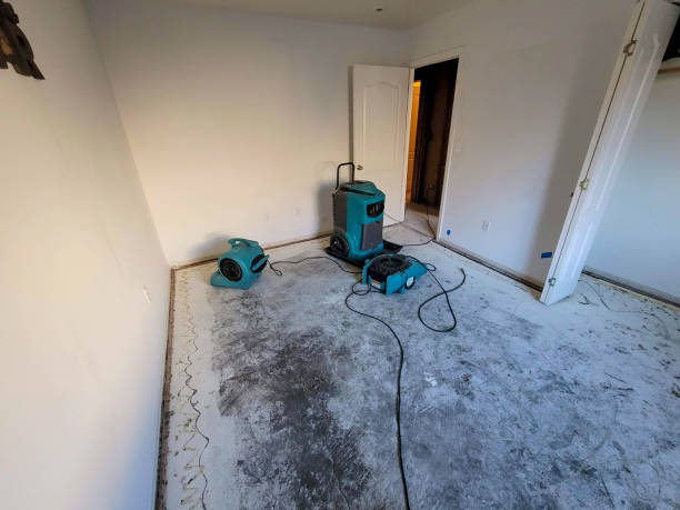 Best Flooded house restoration  in Dunthpe, OR