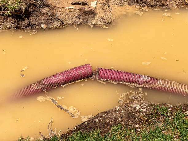 Best Professional water damage repair  in Dunthpe, OR